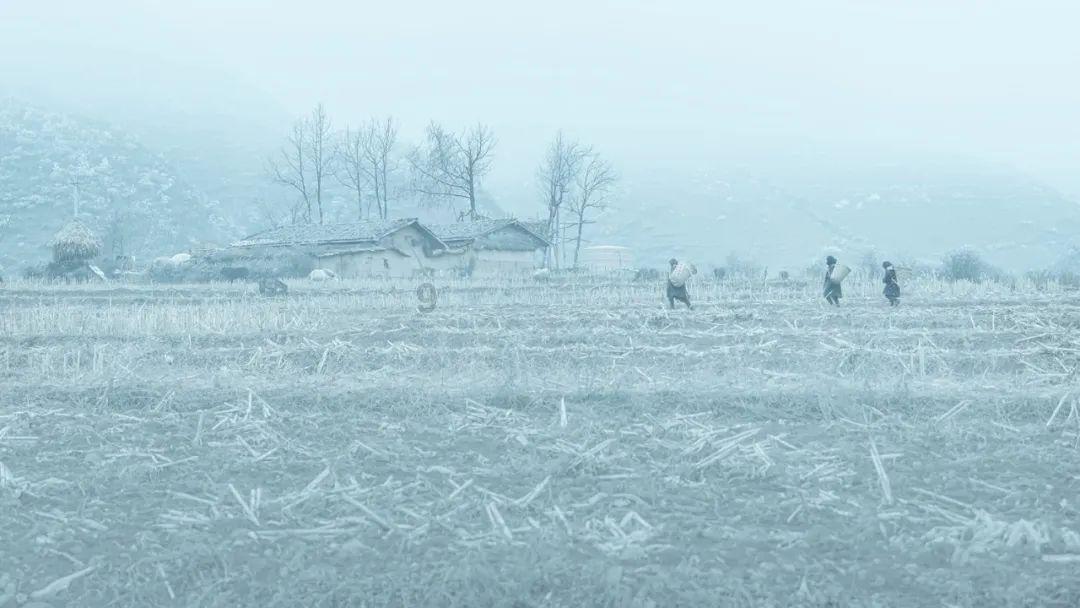 上线首日就凉凉？《自杀小队》在线峰值仅7千人